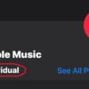 Lifetime Apple Music